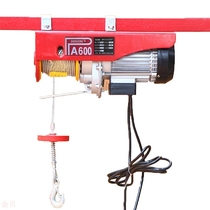 Micro electric hoist 220V household small crane PA600 small electric hoist complete specifications