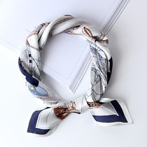 Silk Small Square Scarf Mulberry Silk Scarf Spring and Autumn All-match Professional Scarf Female Summer and Winter Style Western Fashion Scarf