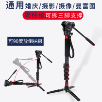 Cayenne FC501 Carbon fiber monopod DSLR camera Camera Mobile phone photography Portable for Canon Video Manfrotto Zhiyun Stabilizer Extension rod monopod single-angle single-foot hiking pole bracket