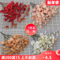 Wedding green plant decoration simulation Eucalyptus money leaf money grass bronchus goldfish wedding grass green plant leaves