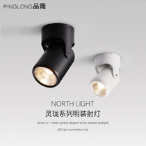 Pinlong LED surface mounted spotlight Adjustable angle living room background wall light Entrance mural clothing store cob wall washer light