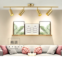 Spot light led track light Clothing store commercial Nordic living room background Brass color surface mounted household gold spot light