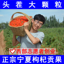 Large granules of wolfberry Ningxia special authentic Red pregnant women sparkling wine Zhongning wolfberry hand-in-hand original ecology 500g