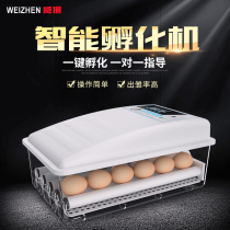 Weizhen incubator Small household hatching machine Automatic intelligent mini constant temperature egg hatcher Chicken duck goose hatching box