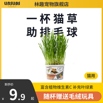 Lynn Fun Pet Cat Grass Cup Sloth Kitty Cat Snack Cat Grass Potted Seeds to Ize Hair Balls Young Cat Snacks