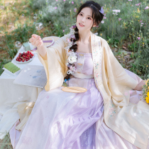 Chi Xia Lexia · Tingting Ming straight collar pair-up gown skirt original improvement Hanfu two-color summer