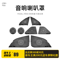 Morning Chotesla Tesla Tesla Tesla Tesla Tesla Model3 car door Horn Hood Retrofit Mesh Hood Acoustics Bright Strips Interior Accessories
