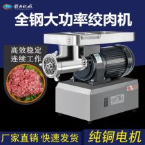 Ganyun automatic 22 type desktop high-power meat grinder Commercial meat grinder sausage sausage sausage all-in-one machine
