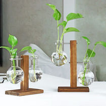 Creative hydroponic green Laura plant transparent glass containers minimalist modern little frescoed vases living-room pendulum pieces