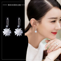 925 sterling silver earrings 2021 new trendy super flash flower crystal earrings female earrings fashion temperament net red earrings