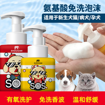 Yinuo SOS leave-in foam shampoo Shower gel Cats and dogs kittens and puppies Pet sterilization dry cleaning powder Leave-in