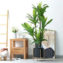 TV Cabinet Next Flower Shelf Nordic Light Extravaganza Living-room Balcony Indoor Shelve Simplicity Modern Iron Art Plant Flower Pots