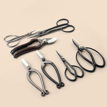 Chifang cut Japanese flower cut flower artist flower arrangement special scissors gardening scissors pruning shears household tools stainless steel