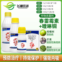 Taiwan Xingnong Yongfu 45% Chunramycin Quinoli Copper Citrus Ulcers Watermelon Bacterial Corneal Spot Fungicide