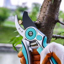 Zhang Xiaoquan pruning shears branches fruit trees flowers garden greening scissors second gear adjustment scissors