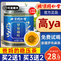 Beijing Tongrentang Apocynum Tea Xinjiang Middle-aged and Elderly Official Flagship Store Takes Gynostemma Tea Wild