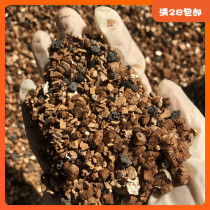 Bamboo made soil with color thickening classic Formula 16 version fleshy special sedum 12 volume apricot fast-growing version