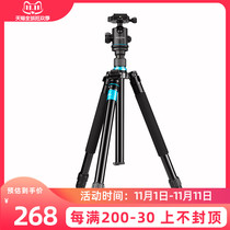 Su Ben SP-30 SLR camera tripod micro single camera portable tripod variable Monopod