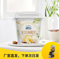 Ximu Tianshan Ice Cream Yogurt Xinjiang Ice Cream Flavored Fermented Milk Cream 120g 14 cups
