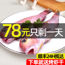 Zhoushan fresh axe fish 600g deep-sea horse head fish Ningbo fresh Tomahawk Fish Fish Fish