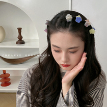 Sichuan wild candy flower small grab clip Net red 2021 New hairclip side cute mini bangs clip headgear