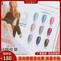 In 2019 the new popular color Net red style Wristink light tobacco fur velvet nail polish nail shop dedicated