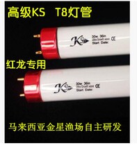 Promotion Malaysia KS fish tank T8 lighting color Red Dragon Golden Dragon Water red coral blue white colorful