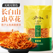 Northeast Cordyceps flower megaspore head sulfur-free gold Cordyceps militaris dry 500g soup material Changbai Mountain Special Grade