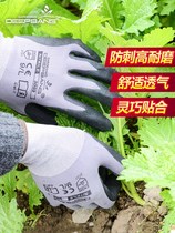 Anti-tie slip cutting thorn gloves Garden Art Dinglin Moon season flower division Planting labor protection work wear-resistant pruning protective tools