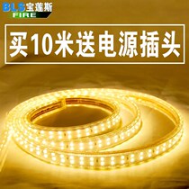 Ultra-bright LED light with remote control 16-color living room decoration double row colorful color-changing warm light 220v waterproof soft light strip