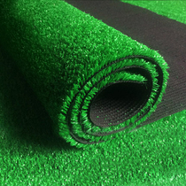 Lawn Rug Outdoor Encryption Artificial Lawn Nursery Terrace Full Of Artificial Turf Emulation Plastic Fake Lawn