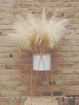 Winter Reed dried flowers bouquet White scene layout B & B hotel kindergarten mens shop window display