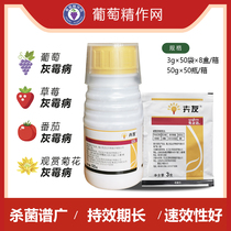 Swiss Syngenta Huiyou flumodorum nitrile succulent plant flower grape gray mold root rot leaf spot pesticide fungicide