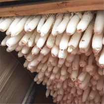 Zhusun 100g2 Two Guizhou Zhijin Hongto dried goods premium fungus bamboo fungus imitation wild full 500g gift box