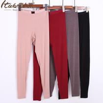 Creative Lay Ladies Silk Autumn Pants High Waist Thin Modal Stretch Women Elastic Warm Pants Single Pair Lining Pants 9798
