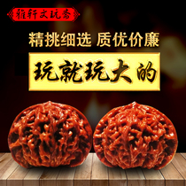 Text play Walnut boutique Lion head four buildings Tiger head official hat play hand play Walnut text play