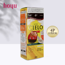 Japan imports American hoyo CIELO press foam dye paste to shade the hair naturally red brown 4P
