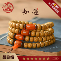 Tasting grade Chen seed natural accessories 108 Hainan Xingyue Bodhi seed beads bracelet today ancient building knowledge