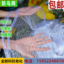 Anti-bird net Nylon net Orchard fruit tree cherry grape Anti-bird skynet fish pond Skynet greenhouse protective breeding net