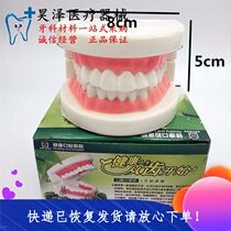 Full mouth tooth model Denture model 1 to 1 tooth model Children practice brushing kindergarten teaching props