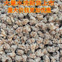 Yunnan Wenshan authentic Sanqi 12 heads 15 heads 20 heads 30 heads 40 heads 50 heads Selected Tianqi origin direct sales
