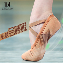 dancehalo ballet dance shoes adult dancing soft-soled cat claw shoes womens lace-free elastic mesh body practice