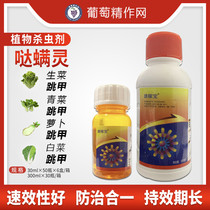 Cao Da Jumping Armor Ling Chinese Cabbage Lettuce Green Vegetable Radish Jumping Red Spider Amiticide Pesticide Pesticide