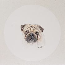 Wang Yuwei Watercolor sketch Pug Dog decoration living room bedroom decoration collection