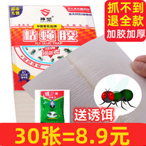 Sticky Fly Paper Stick Fly Stick Powerful Sticky Fly Plate Mucus Fly Sticky Mosquito Bug Killer Fly Killer Fly Deity Killer home