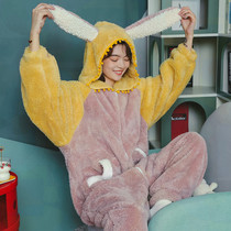 Winter Pyjamas in 2021 new winter coral plus plus winter wear cute home suit