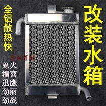 AGL TWPO Retrofit Radiator Tank Yamaha Fortune Coincidence Fast Eagle Wildfire Water Cold Non-MK