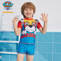 Barking team childrens swimsuit Boys baby sunscreen quick-drying split swimming trunks set Childrens middle and large childrens swimming equipment