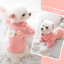 Teddy puppy dog clothes Spring and autumn thin small puppy cat Bixiong Bomei Pet autumn and winter base shirt