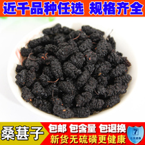 Mulberry disposable wild natural sand-free Mulberry black mulberry and dried mulberry fruit can make tea 500